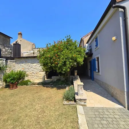 House Biba * Петрчане